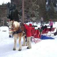 sleigh rides, Sierra Adventures, Reno, Nevada, NV