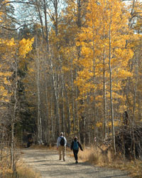 Reno hiking, walking, Sierra Adventures, Nevada, NV