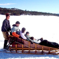 dog sledding, Sierra Adventures, Reno, Nevada, NV