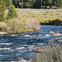 fishing, Lake Tahoe, Truckee River, Sierra Adventures, Reno, Nevada, NV