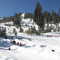 Snowcat expeditions, Sierra Adventures, Reno, Nevada, NV